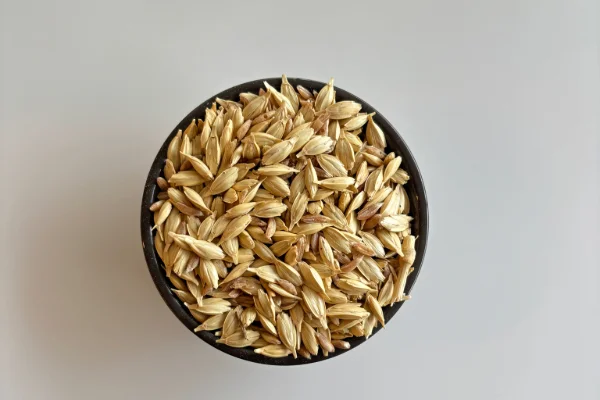 Samba Wheat With Husk